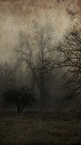 Zobacz bezsenność Antykreatora (GALERIA ZDJĘĆ) - 18