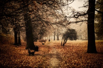 Zobacz bezsenność Antykreatora (GALERIA ZDJĘĆ) - 24