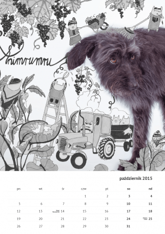 Kalendarz ze zdjęciami psów, które szukają domu (FOTO) - 21