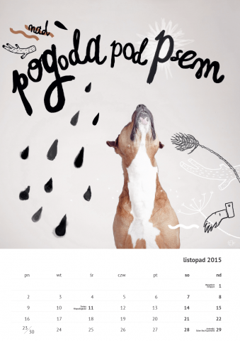 Kalendarz ze zdjęciami psów, które szukają domu (FOTO) - 22