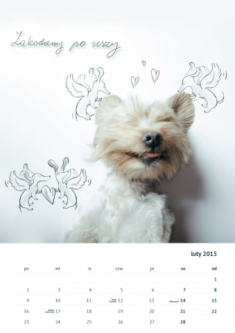 Kalendarz ze zdjęciami psów, które szukają domu (FOTO) - 4