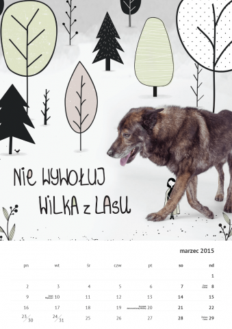 Kalendarz ze zdjęciami psów, które szukają domu (FOTO) - 6