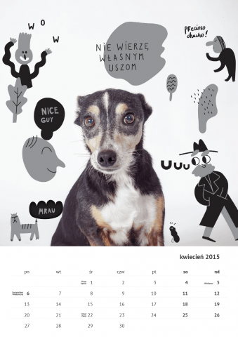 Kalendarz ze zdjęciami psów, które szukają domu (FOTO) - 8