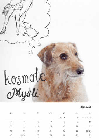 Kalendarz ze zdjęciami psów, które szukają domu (FOTO) - 10