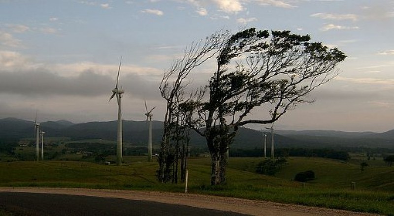 Uwaga na silny wiatr w regionie! Ostrzeżenie nadal aktualne - zdjęcie ilustracyjne; fot. Leonard Low (Wikimedia Commons)