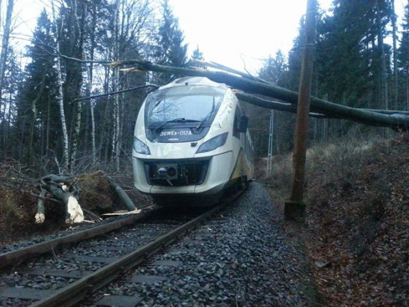 Powalone przez wiatr drzewo znów zablokowało tory - Zdjęcie z wczorajszego wypadku (Fot. Koleje Dolnośląskie)