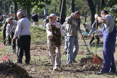 Legniczanie sprzątają park po wichurze (Zobacz) - 0