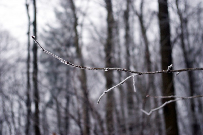 Z aparatem w poszukiwaniu zimy (ZDJĘCIA, PROGNOZA) - fot. Marta Swoboda