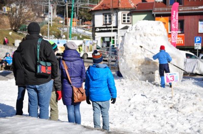 DRJ: Śniegolepy 2015 - 27