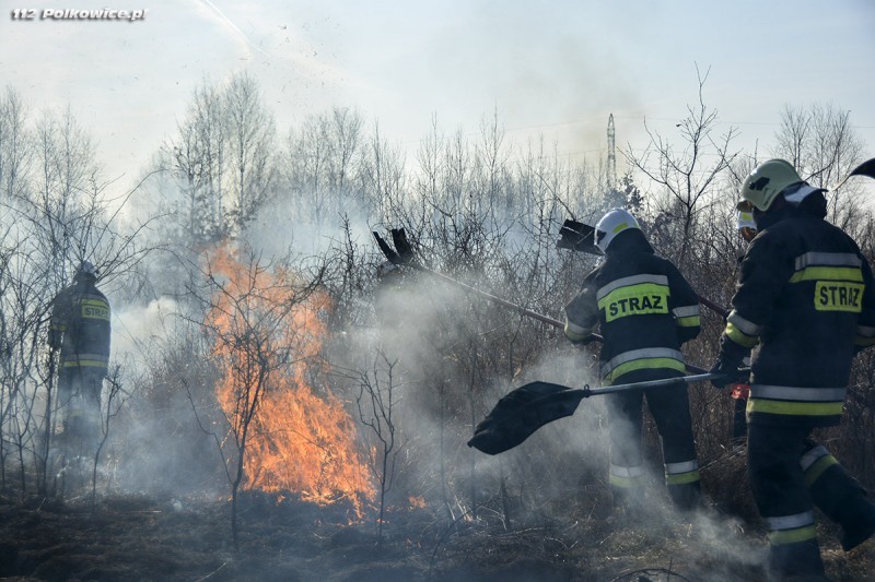 Seria groźnych pożarów lasów (FOTO, WIDEO) - Fot. Krzysztof Halla/www.112polkowice.pl