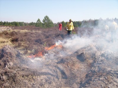 Strażacy podpalili 5,5 hektara wrzosowisk (ZDJĘCIA) - 13
