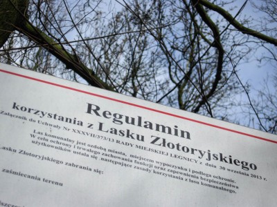 Chcą podzielić Lasek Złotoryjski na dwie części (Posłuchaj) - 3