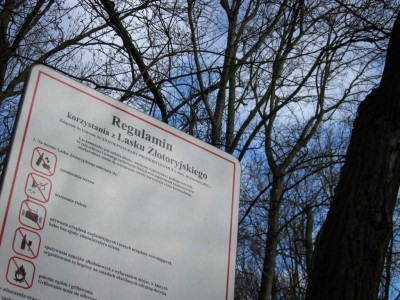 Chcą podzielić Lasek Złotoryjski na dwie części (Posłuchaj) - 4