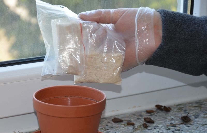 Dwaj Czesi produkowali u nas metamfetaminę na masową skalę – fot. KWP