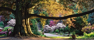 W wojsławickim Arboretum zagościła wiosna (ZOBACZCIE!)