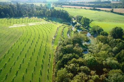 W wojsławickim Arboretum zagościła wiosna (ZOBACZCIE!) - 10