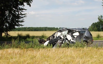 Co ważniejsze - życie ludzkie, czy przyroda? (Posłuchaj) - 0