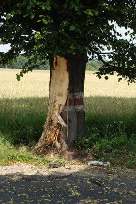 Co ważniejsze - życie ludzkie, czy przyroda? (Posłuchaj) - 1