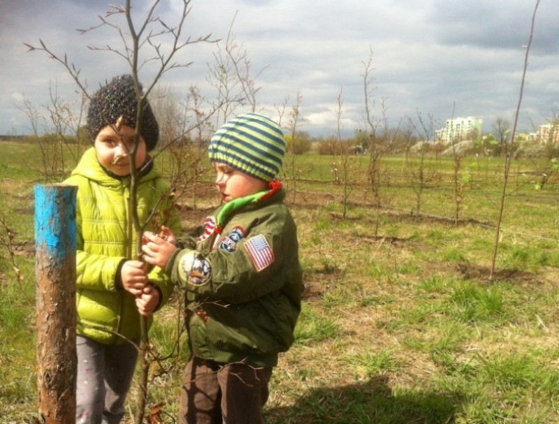 Ekologiczna sobota: Zbierali elektrośmieci i sadzili drzewa  - zdjęcia: Elżbieta Osowicz