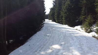 Za oknami wiosna, tymczasem w górach...(ZDJĘCIA) - 3