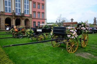 DRJ: Festiwal Kwiatów i Sztuki - 10