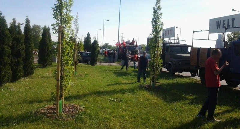 Niemieccy aktywiści przy Cmentarzu Oficerów Radzieckich - Zdjęcia: Dorota Czubaj