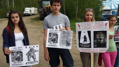 Manifestują, bo nie chcą cyrku w swoim mieście (SONDA) - 3