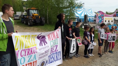 Manifestują, bo nie chcą cyrku w swoim mieście (SONDA) - 4