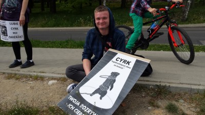 Manifestują, bo nie chcą cyrku w swoim mieście (SONDA) - 6