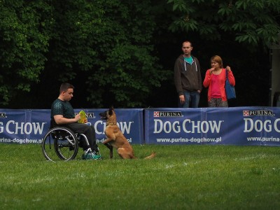 Latające psy w Parku Połudiowym (ZOBACZ ZDJĘCIA) - 4