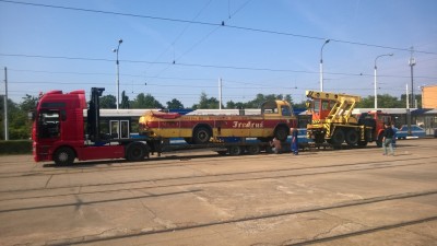 Fredruś znalazł dach nad głową (ZOBACZ ZDJĘCIA) - 1