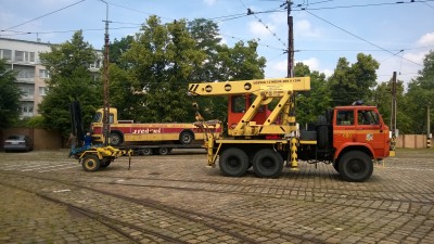 Fredruś znalazł dach nad głową (ZOBACZ ZDJĘCIA) - 2