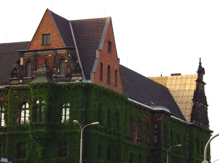 Wrocław: Muzeum Narodowe się powiększy - Fot. Katarzyna Górowicz , prw.pl