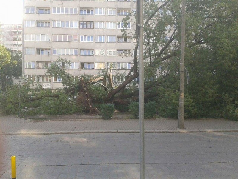 Po nocnej nawałnicy nadal problemy z komunikacją - 