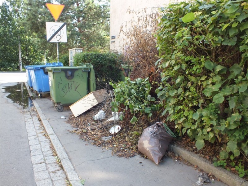 Wrocław-Sępolno: Góry śmieci rosną, posprzątać nie ma komu - 