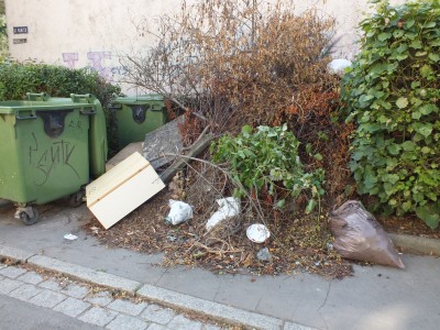 Wrocław-Sępolno: Góry śmieci rosną, posprzątać nie ma komu - 3