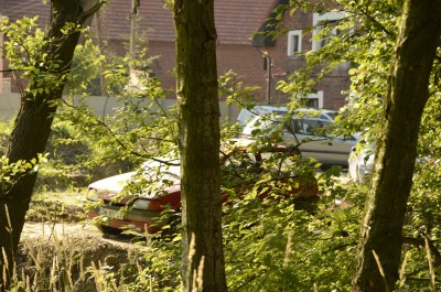 Śmierdzący problem w Parku Krajobrazowym (POSŁUCHAJ) - 0