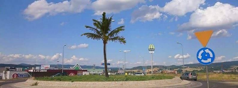 Kłodzko Warszawą południa - z palmą na rondzie? (POSŁUCHAJ) - fot. Michał Wyszowski