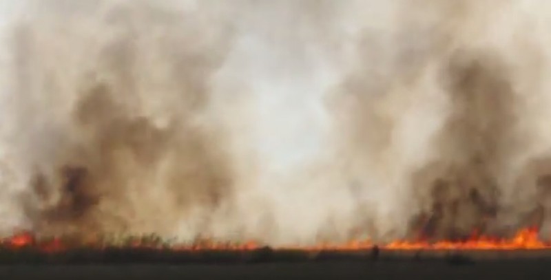 Pożar pod Wrocławiem. Płonęło kilkanaście hektarów pola (FILM) - fot. youtube
