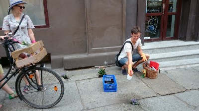 Dziura na dziurze, więc posadzili kwiatki (ZOBACZ ZDJĘCIA) - 10