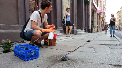 Dziura na dziurze, więc posadzili kwiatki (ZOBACZ ZDJĘCIA) - 11