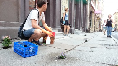Dziura na dziurze, więc posadzili kwiatki (ZOBACZ ZDJĘCIA) - 12