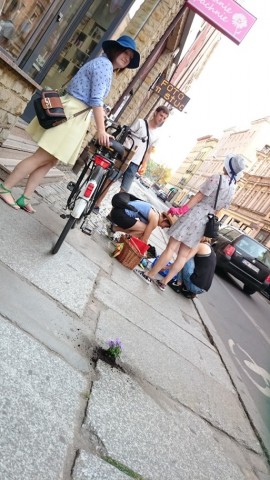 Dziura na dziurze, więc posadzili kwiatki (ZOBACZ ZDJĘCIA) - 15