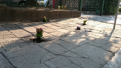 Dziura na dziurze, więc posadzili kwiatki (ZOBACZ ZDJĘCIA) - 1