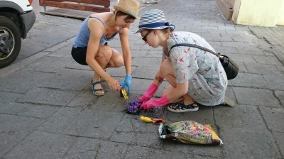 Dziura na dziurze, więc posadzili kwiatki (ZOBACZ ZDJĘCIA) - 2