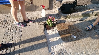 Dziura na dziurze, więc posadzili kwiatki (ZOBACZ ZDJĘCIA) - 6