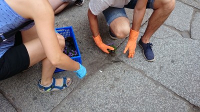 Dziura na dziurze, więc posadzili kwiatki (ZOBACZ ZDJĘCIA) - 8