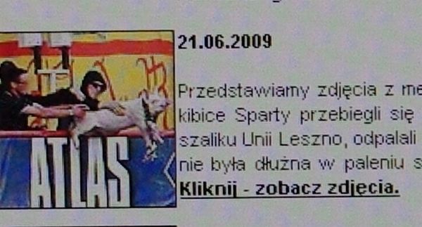 Kibice wrocławskiego Atlasu sami sobie podłożyli świnię (Posłuchaj) - Zdjęcia świni można zobaczyć na www.wroclawianie.info