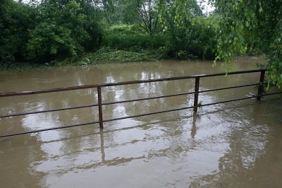 Dolny Śląsk: woda nadal groźna (Zobacz) - 37