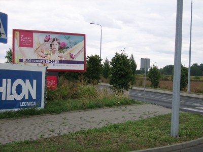 Drzewa niebezpieczne dla kierowców i pieszych - 1